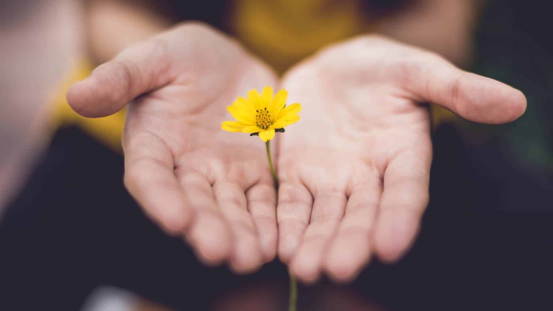 Community Housing Network - Shop for a cause image